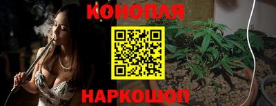 шишки Бузулук