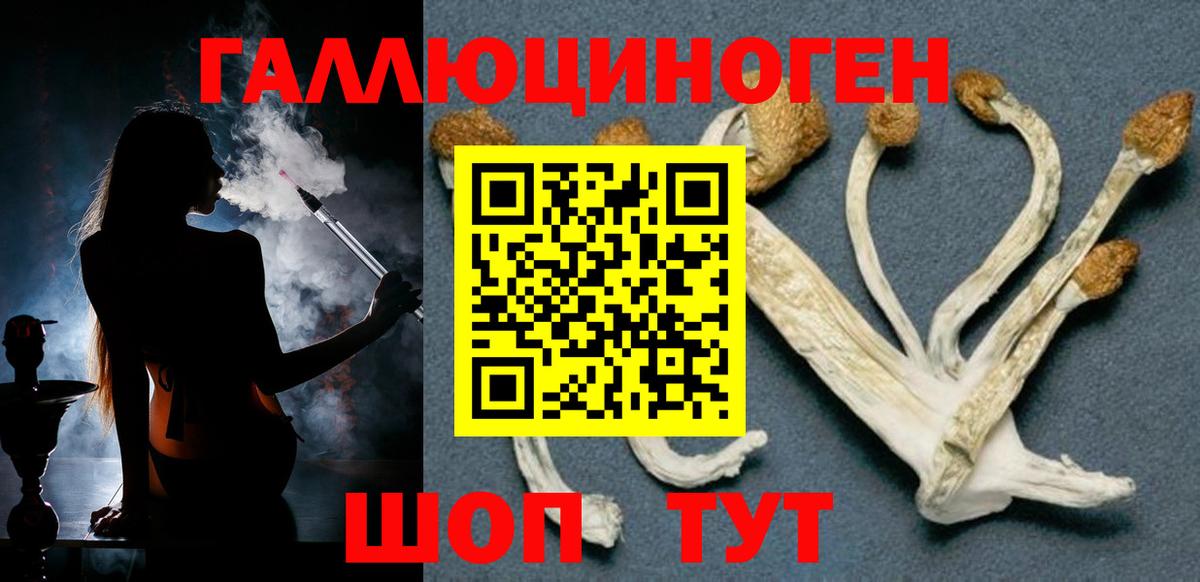 Новошахтинск  Галлюциногенные грибы мухоморы  где можно купить наркотик  Вход с VPN 