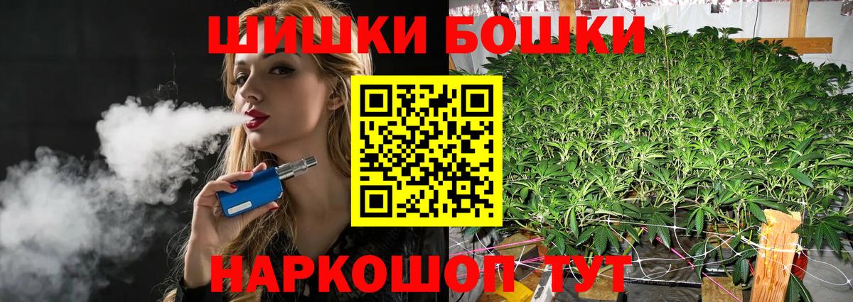 Конопля семена  Вход с VPN  Новошахтинск  Бошки марихуана White Widow  Конопля THC 21% 